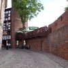 torun 81